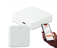 Sterownik Blow bramki Zigbee + BLE + BLE Mesh ZigBee