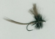 Sucha muszka BLACK QUILL CDC