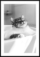 A3 CZARNO-BIAŁY PLAKAT DO ŁAZIENKI TOALETY ZABAWNY KOT W WANNIE UROCZY