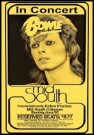 A2 PLAKAT MUZYCZNY MUZYKA PLAKAT DAVID BOWIE TRASA KONCERT