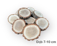 Krążki plastry drewna Dąb 7-10cm gr 1 cm suche szlifowane DIY x 10 sztuk