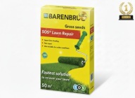 Trawnik Nasiona Trawy Trawa ogrodowa renowacyjna Barenbrug 50 m² 1 kg