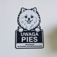 Tabliczka srebrna grawerowana uwaga PIES Szpic miniaturowy, pomeranian