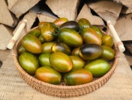 Pomidor Pomidor Brad's Atomic Grape kolekcjonerskie nasiona pomidorów