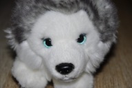pluszak maskotka piesek szczeniak husky Haski Miyoni by Aurora