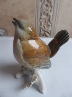 Sikorka KARL ENS ptak POLECAM