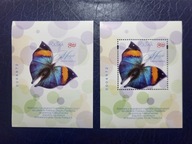 Nowodruki 5372 Motyl 2024 PARKA