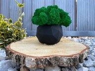 Doniczka betonowa geometryczna z mchem chrobotkiem