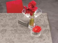 Obrus Le Jacquard Francais 170cmx250cm