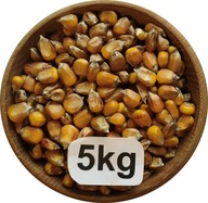 Kukurydza Żółta, DROBNA, Flint, od Rolnika, 5kg, 2025r