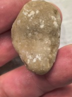 Skamieliny minerały koralowce