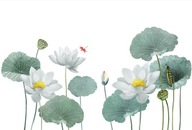 NAKLEJKI NA ŚCIANĘ - KWIATY LILIE WODNE PĄKI OWADY