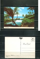 K18176)Jamajka: Tropical River