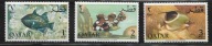Katar, Mi: QA 72A-74A, 1965 rok