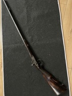 Piękna Dubeltówka czarnoprochowa