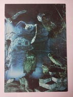 JELENIA GÓRA - WIDOK - TEN PRZEDMIOT