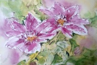 Akwarela Obraz Kwiaty