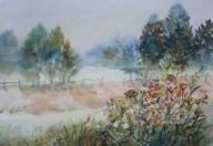 kwiaty ,łąka Akwarela Sabina Salamon 38x28