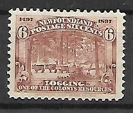 Nowa Fundlandia x D770 flora las MH VF