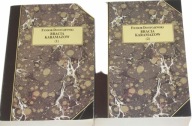 BRACIA KARAMAZOW tom 1-2 Fiodor Dostojewski