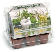 ZESTAW DO UPRAWY ZIÓŁ KUCHENNYCH W MINI SZKLARENCE + GRATISY