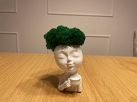 Doniczka betonowa z chrobotkiem, dekoracja, prezent