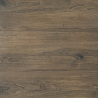 RAGAYA DARK BROWN 2.0 R11 TARAS CERRAD 60*60 G1 m2 zamów