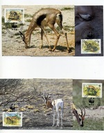 A45152)WWF-Maximum Karty Ssaki: Somalia 436 - 439