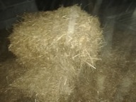 SŁOMA KOSTKA ŚCIÓŁKA DLA PSA OWOCE WARZYWA NAWÓZ,KURY,SZYNSZYL,KROLIK