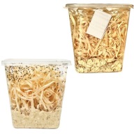 Muszki owocówki , nieloty D.melanogaster 200sztk. + zestaw uzupełniający