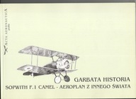 Garbata historia - Sopwith F.1 Camel - aeroplan z innego świata
