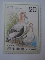 Japonia - Ochrona przyrody - ptaki - Mi. 1237 **