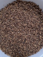 Pierzga pszczela ŚWIEŻA, PREMIUM 1 kg 2024