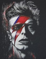 David Bowie Obraz na blasze... Grawerka Oryginalny prezent