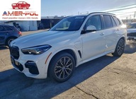 BMW X5 xDrive45e 2021 3.0 Hybryda 389KM