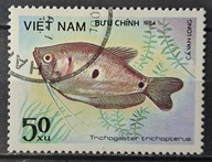 Ryby (kas) - luzak - do uzupełnień 13/7