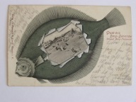 Dziwnów Dievenow k / Szczecin flądra wytłaczana 1901