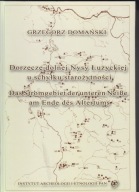 Dorzecze dolnej Nysy Łużyckiej u schyłku starożytności ; jak nowa