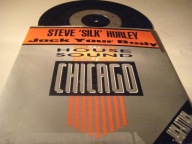 Steve 'Silk' Hurley - Jack Your Body SP /UK/