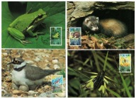5-GK01- Lichteinsztain- Fauna