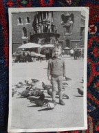 Kraków dziecko gołębie (303d)