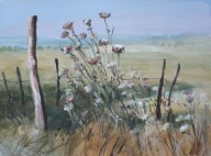 Akwarela Sabina Salamon 28x38 pejzaż trawy łąki
