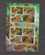 NEVIS 2003, WWF