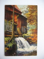 ZAGINIONY ŚWIAT STARY MŁYN NA SKRAJU LASU przedwojenna POCZTÓWKA