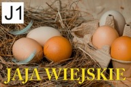 BANER PLANDEKA JAJA JAJKA WIEJSKIE 120x80 paleta