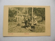 JÓZEF BRANDT POSŁANIEC KOŃ PIES przedwojenna POCZTÓWKA