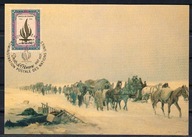 X0426)UNO-Genf Maximum Karty 172