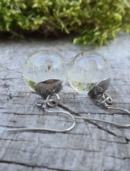 Kolczyki z żywicy z dmuchawcami MoniGArt