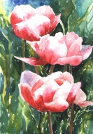 =KWIACIARNIA= Obraz =martwa natura=KWIATY=akwarela=