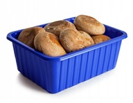 ŚWIEŻE GRZYBY SHIITAKE TWARDNIK SHITAKE 1 KG